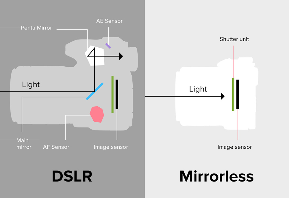 Comparison between a Mirrorless and a DSLR camera from the inside
