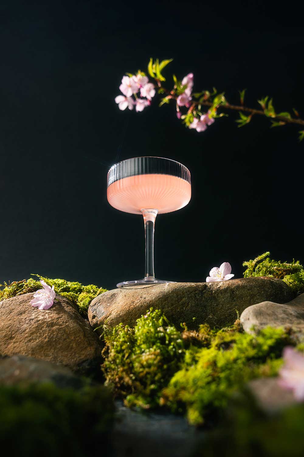 Image of a pink cocktail by Reuben Looi