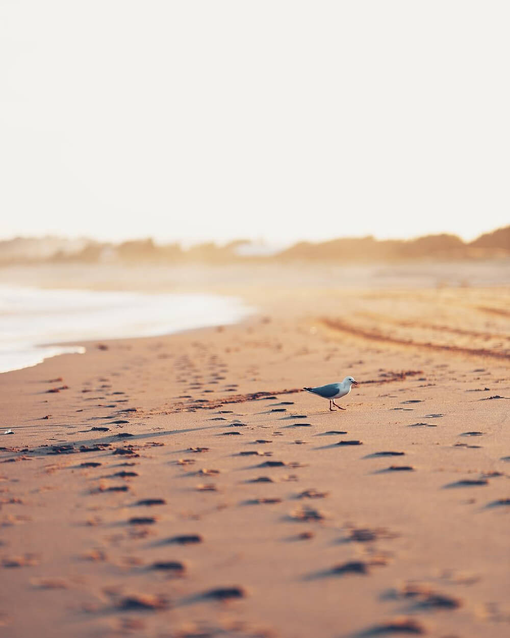 Image by Community Member, Christian Michael