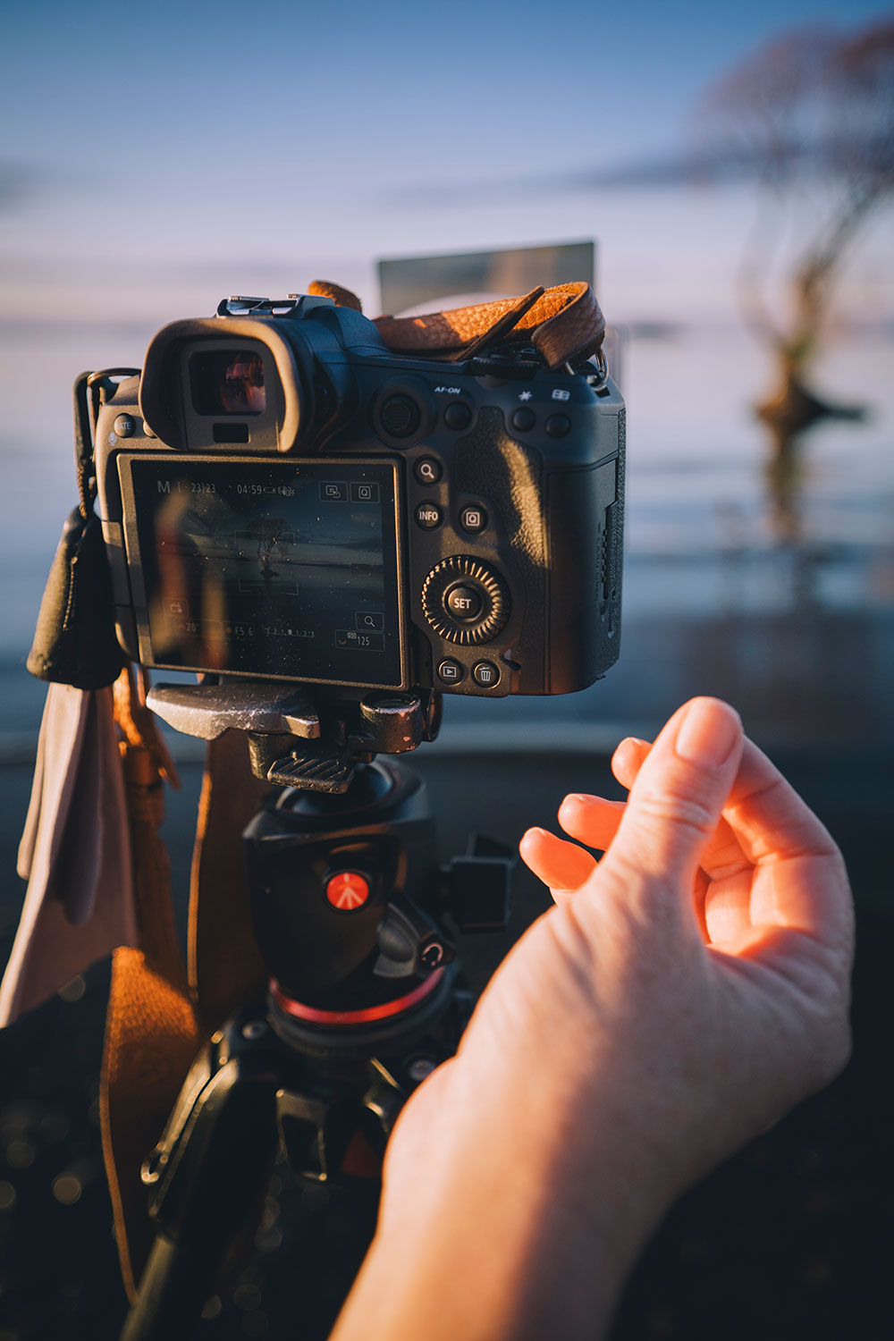 Image of Canon gear. Photo by Rach Stewart