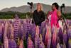 Image of ladies taking photos on a flower field. Photo by Rach Stewart