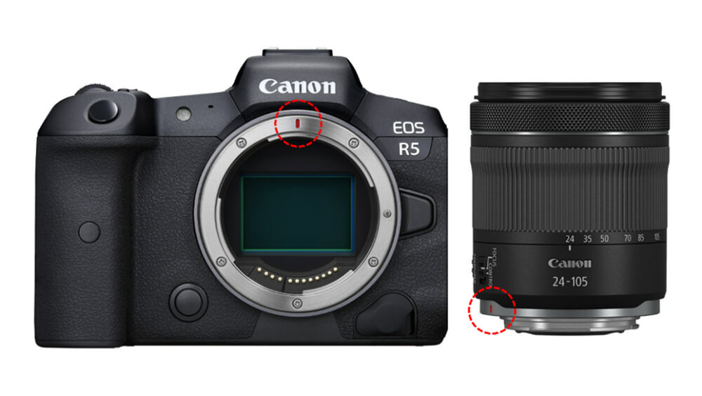 Canon EOS R5 with RF 24-105mm lens