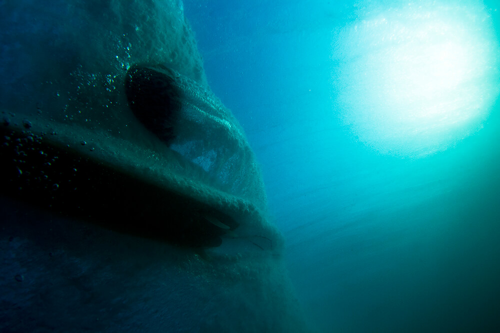 Underwater image of surfer