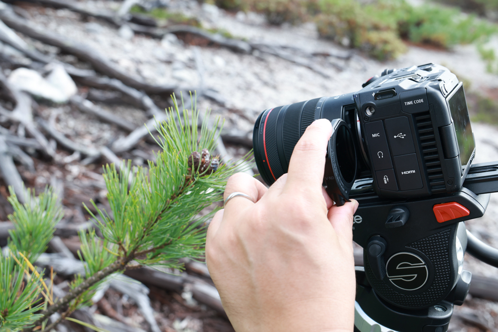 Top 5 Features of RF 7 14mm f 2 8 3 5L Fisheye STM Content 5 1000