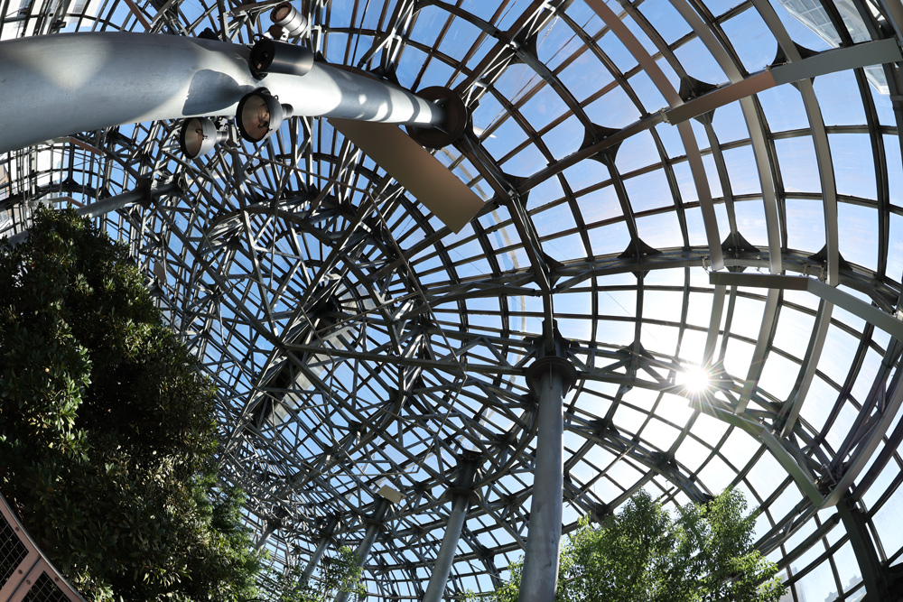 Top 5 Features of RF 7 14mm f 2 8 3 5L Fisheye STM Content 9 1000