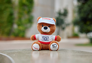 Image of 50 year anniversary Canon bear