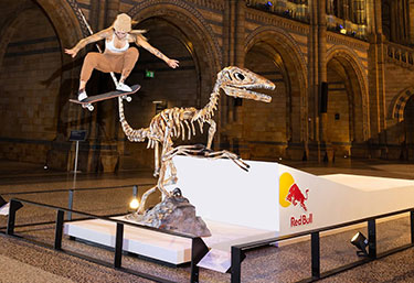 Skating over a dinosaur skeleton at the National History Museum in London