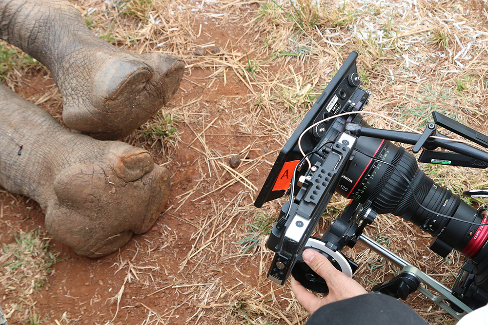 Rhinoceros on the set of Nat Geo's Save This Rhino documentary