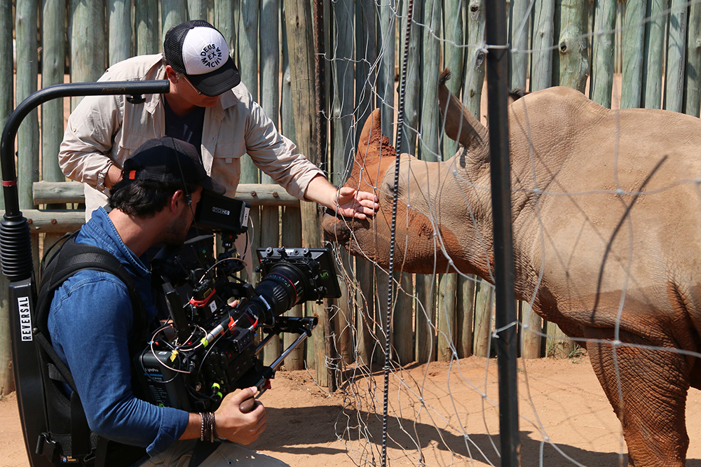 Rhinoceros on the set of Nat Geo's Save This Rhino documentary