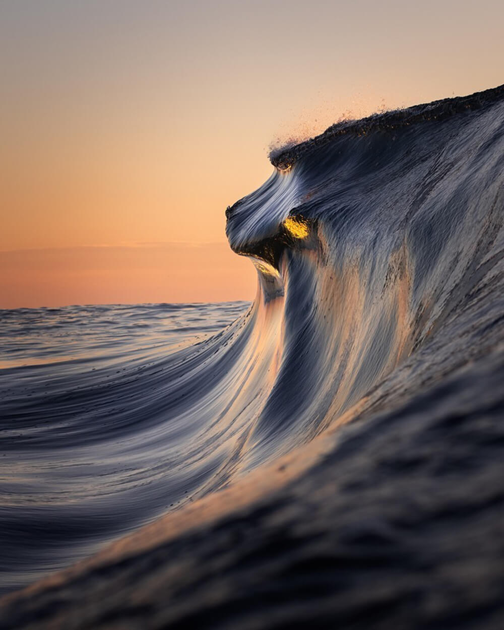 Rafiki in ocean wave by Casey Flynn