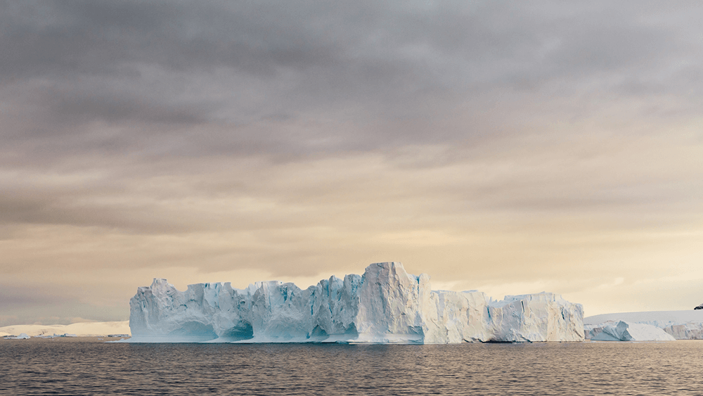 Image of Antarctica icebergs by @niracreative