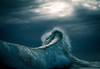 Landscape image of wave