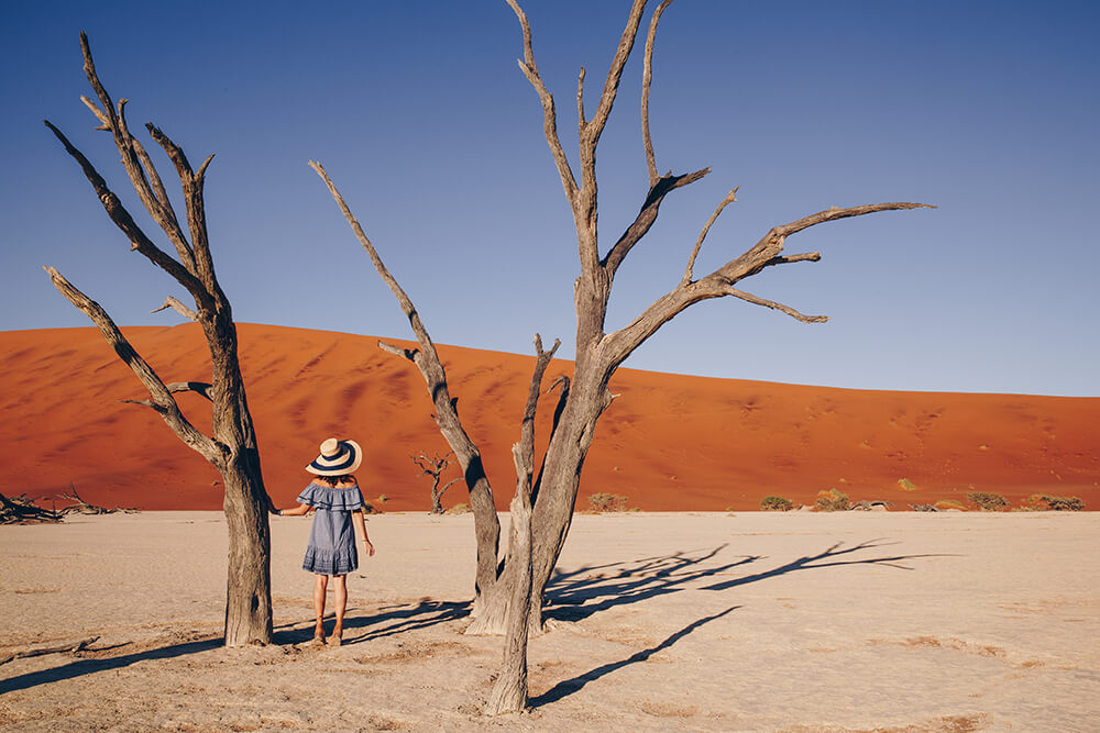 Deadvlei 1 by Connie Cao