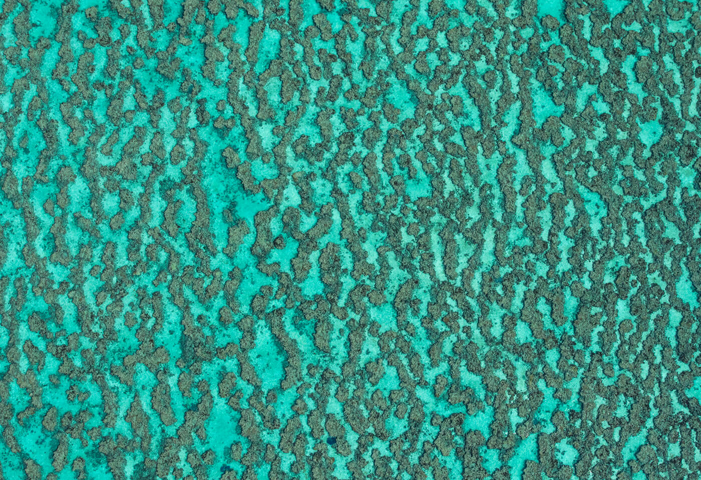aerial photo of the Great Barrier Reef