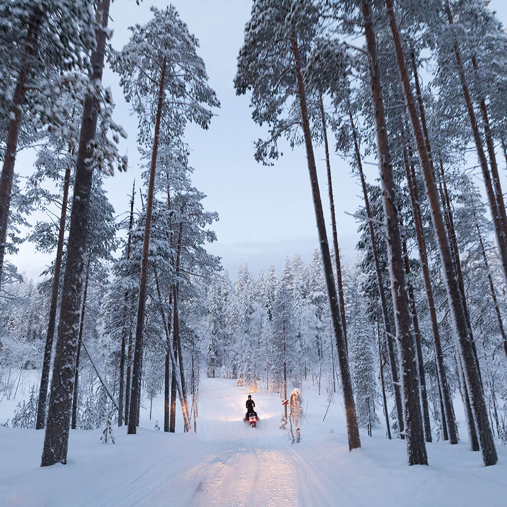 A snowy landscape in Finland. Shot by Elaine Li