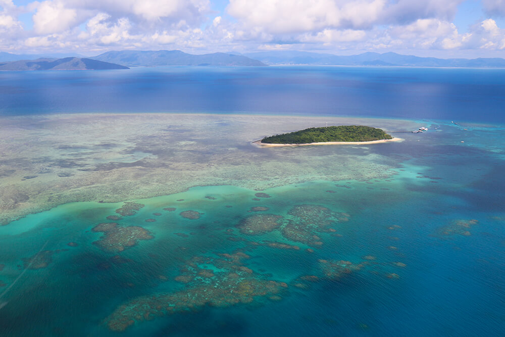 Image of Green Island by Liz Carlson