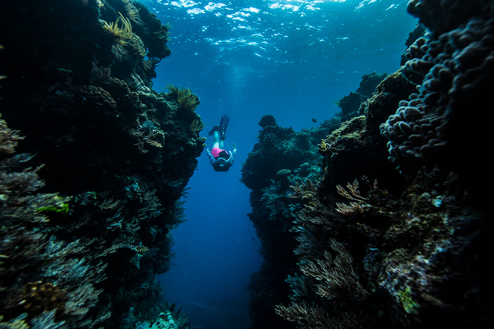 Girl snorkelling in Fitzroy Island