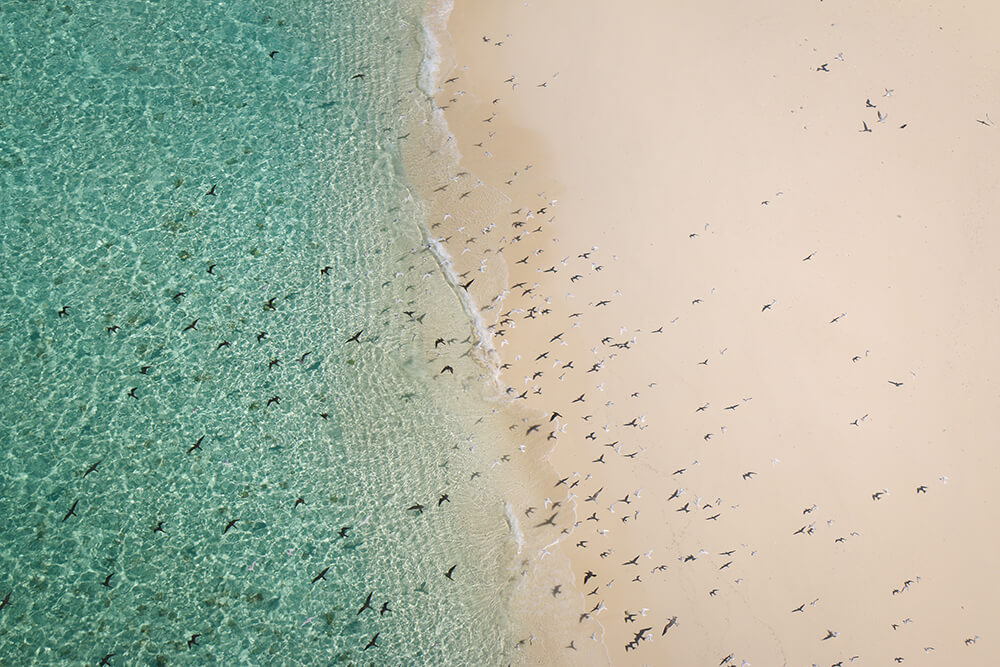 Vlasoff Cay by Liz Carlson