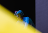 Photographing Tour de France Harry Talbot tile image