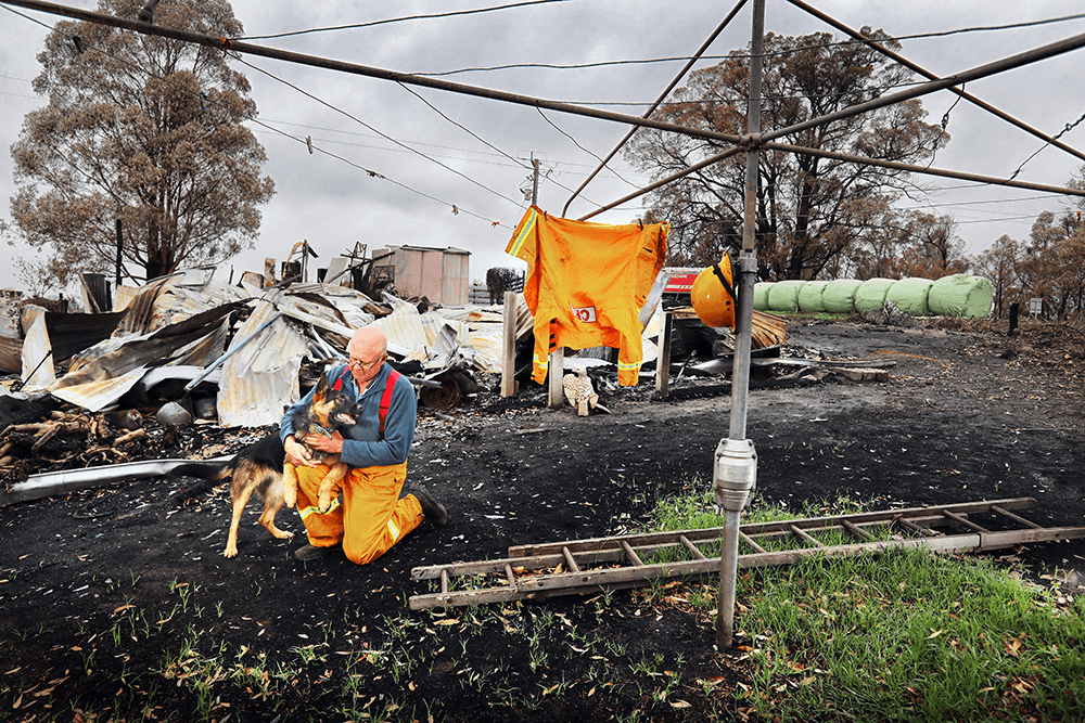 CFA member Bob Carney, who lost his home in the fire, is comforted by his dogs whose kennel he managed to save in Buchan, Victoria, in January 2020. Canon 1D X Mark II, EF16-35mm f/2.8L II USM lens @ 23mm. 1/800s @ f7.1, ISO 400.