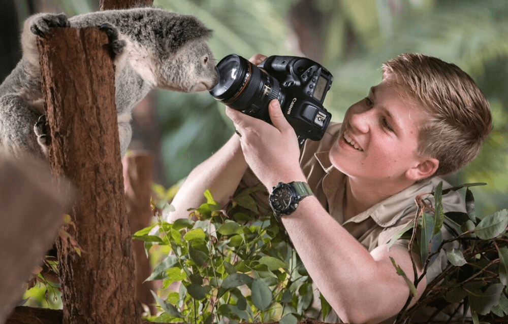 Robert Irwin taking a picture of a koala