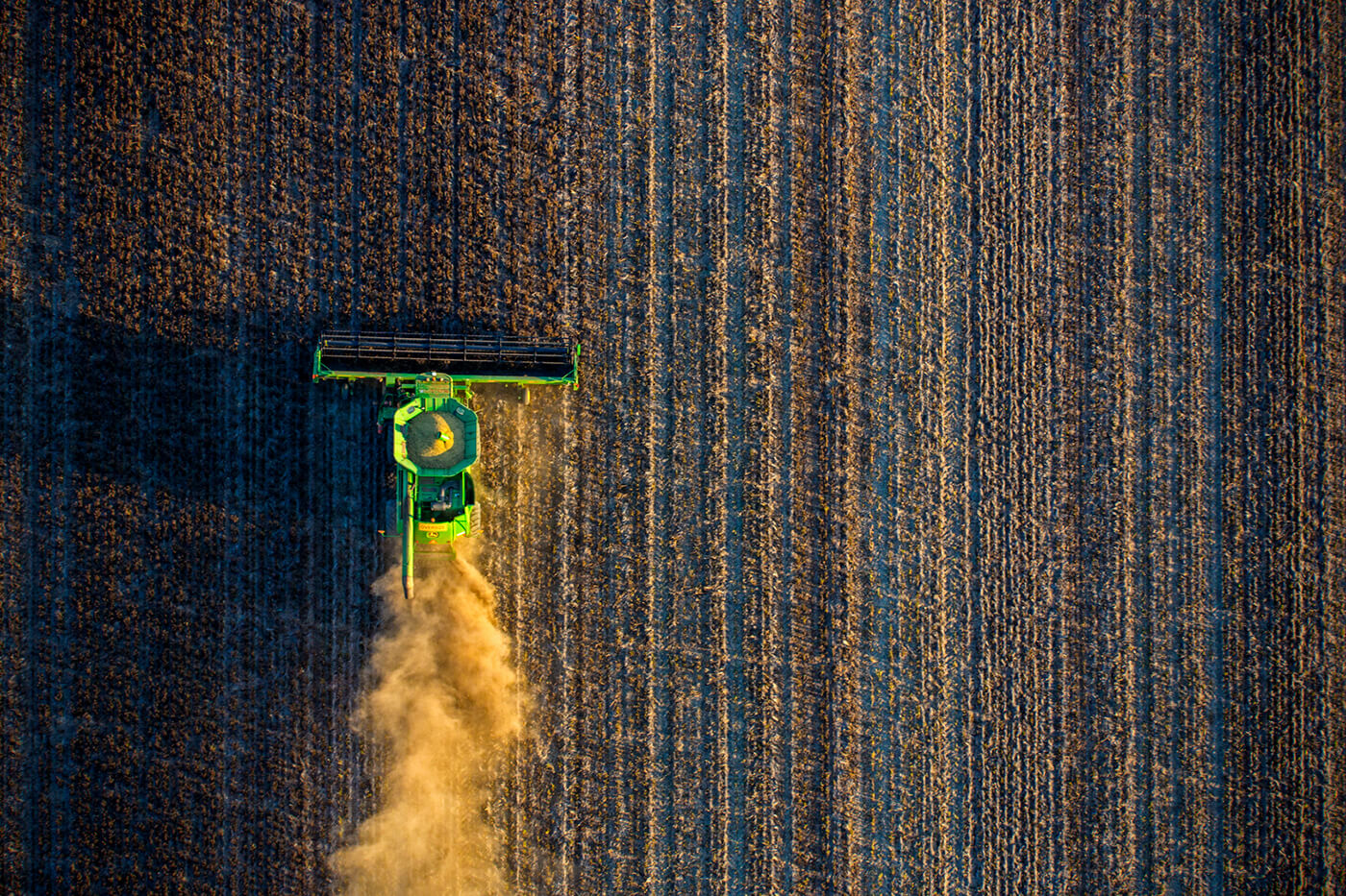 Faba's image by Josh Smith