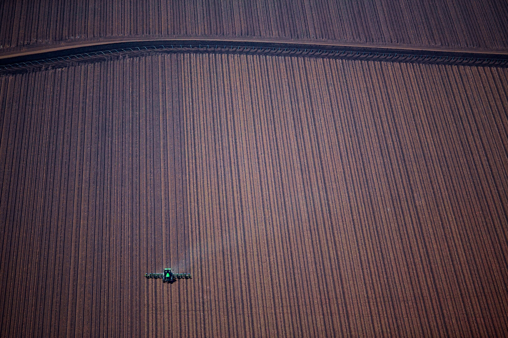 Planted image by Josh Smith