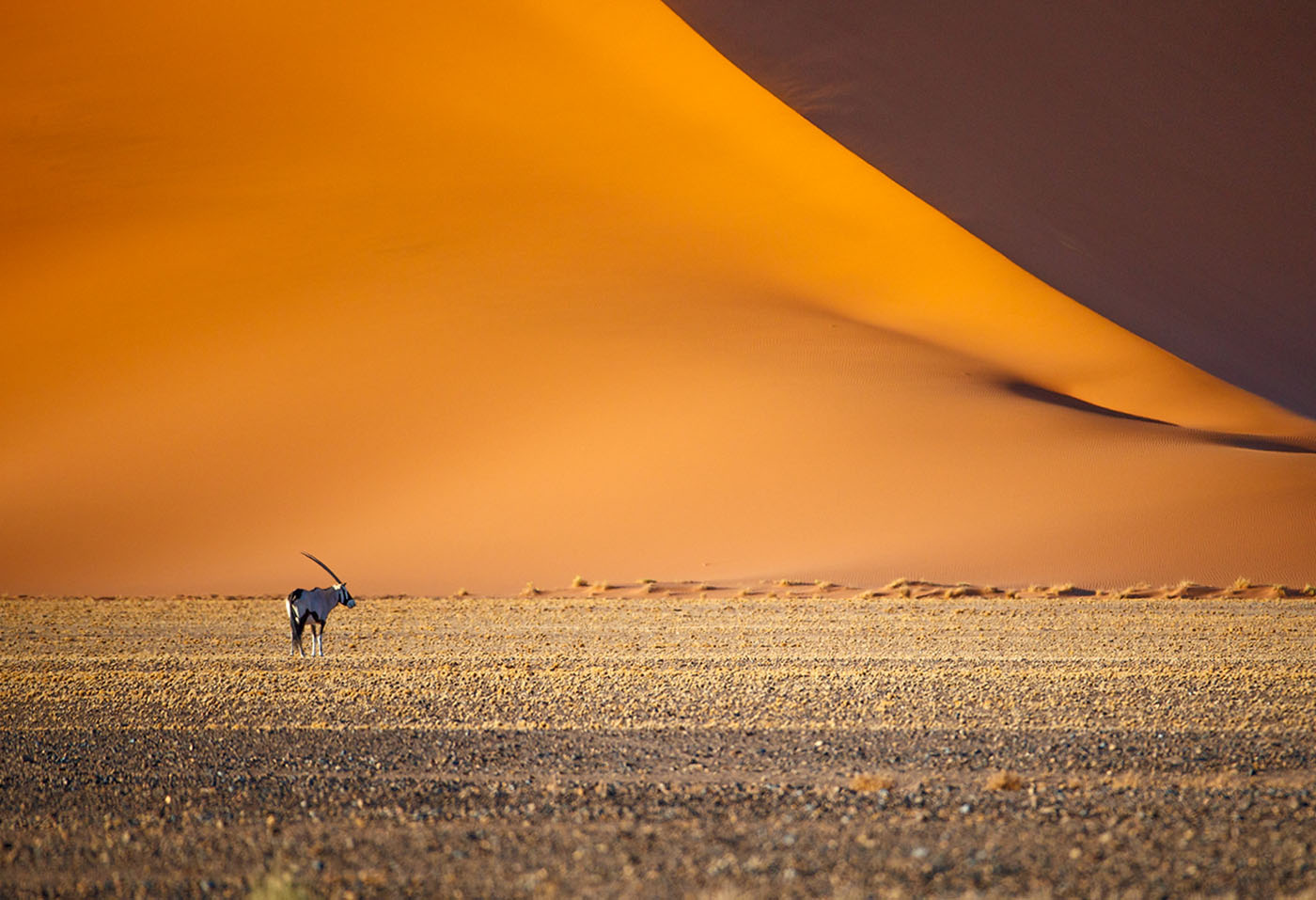 Sossusvlei and the Dunes of Fire 