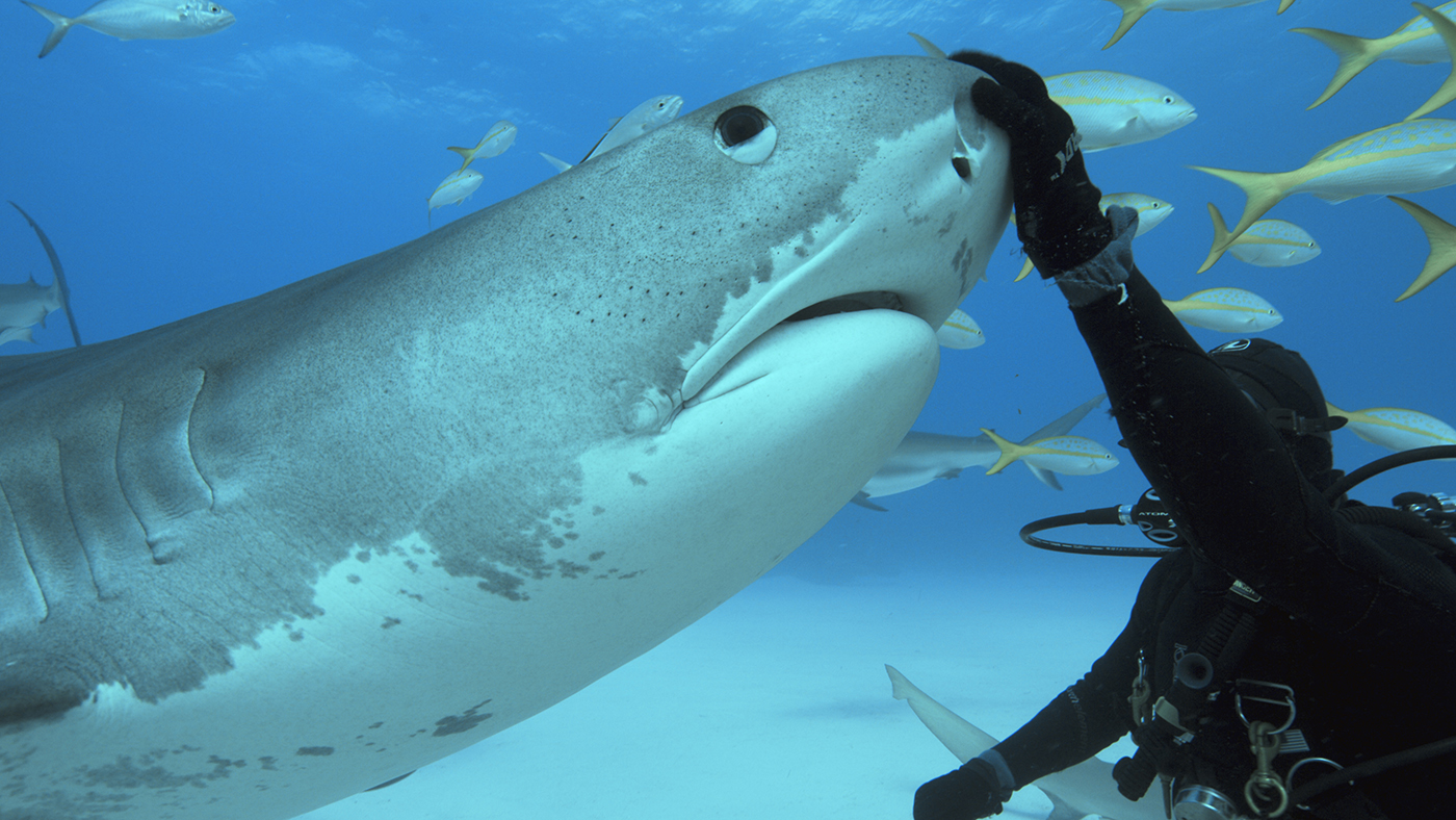 Tales by Light - Eric