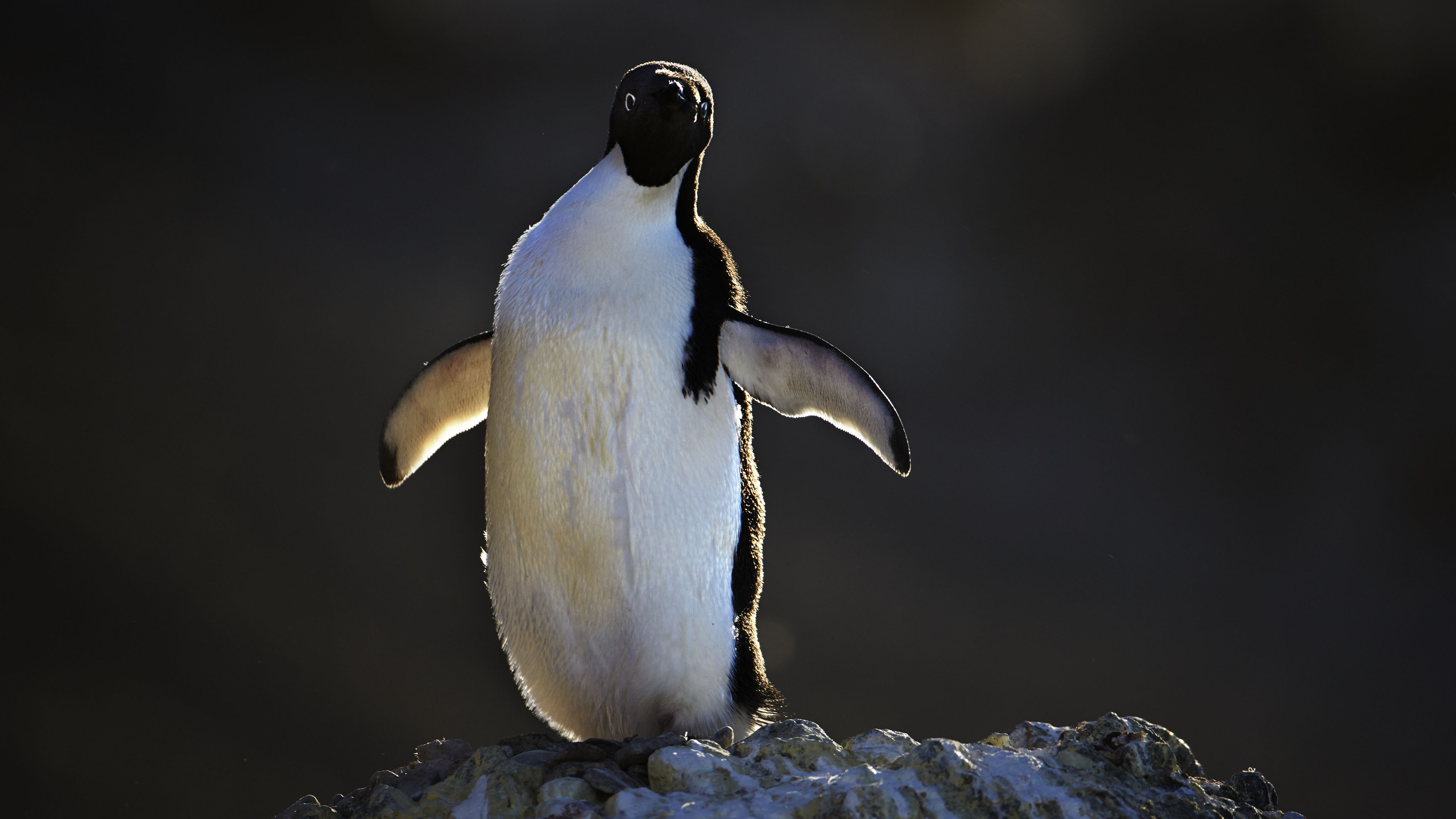 Photographing the Himalayas of Antarctica