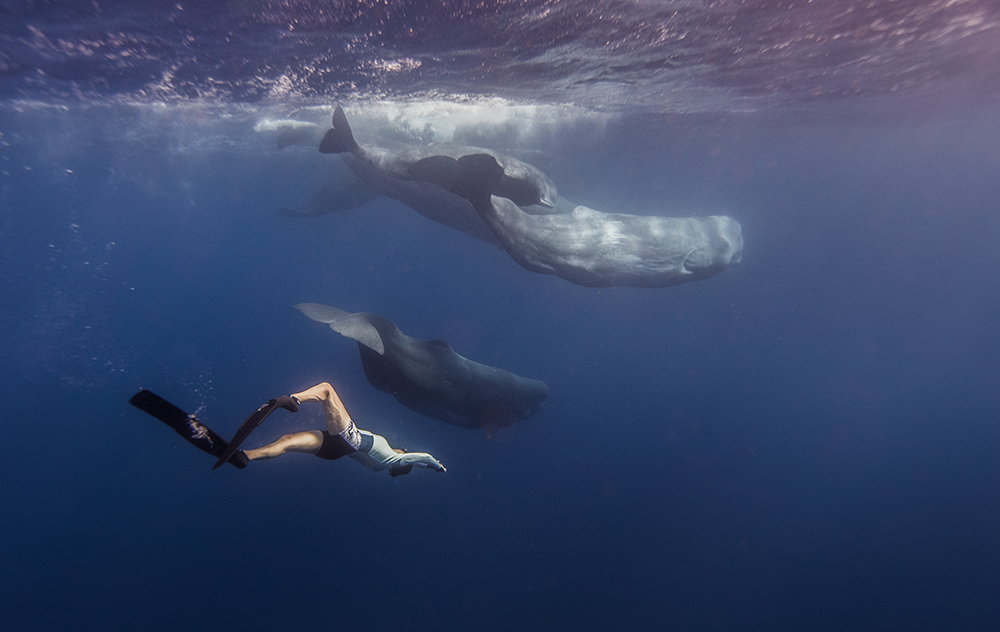 The Azores