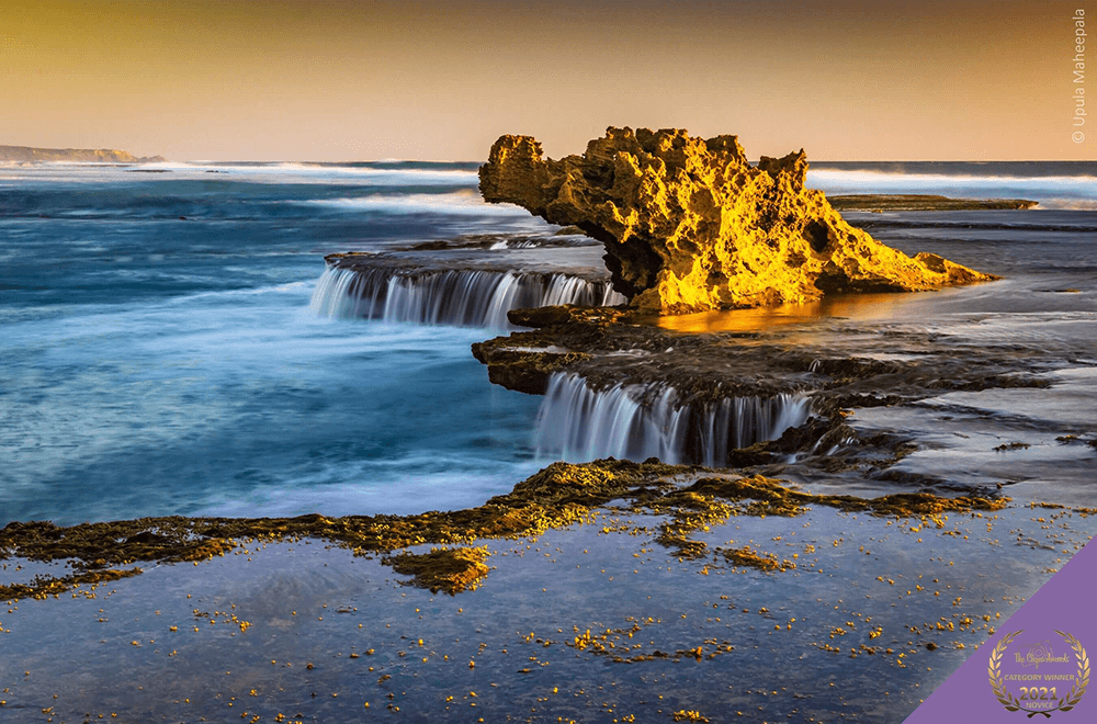 The Clique Awards winner image