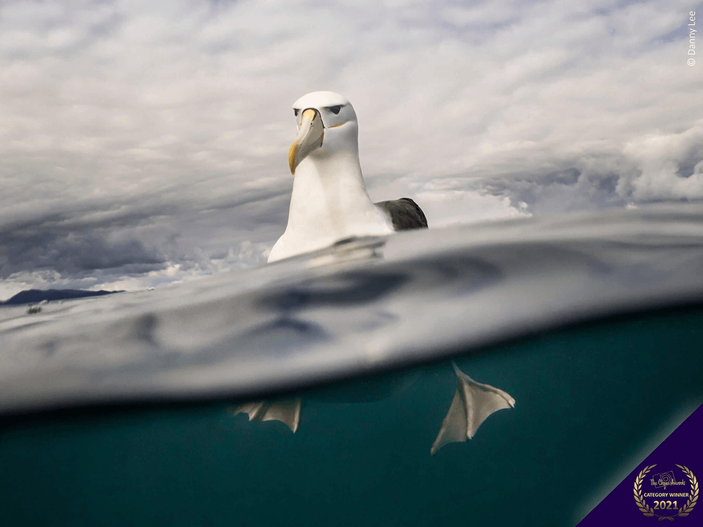 The Clique Awards winner image