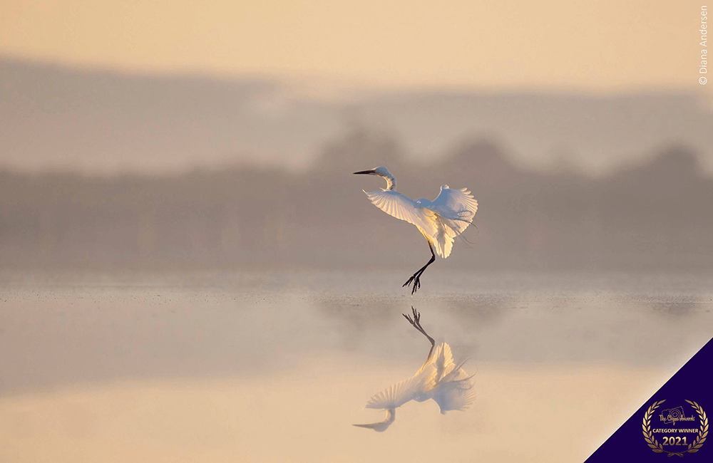 The Clique Awards winner image