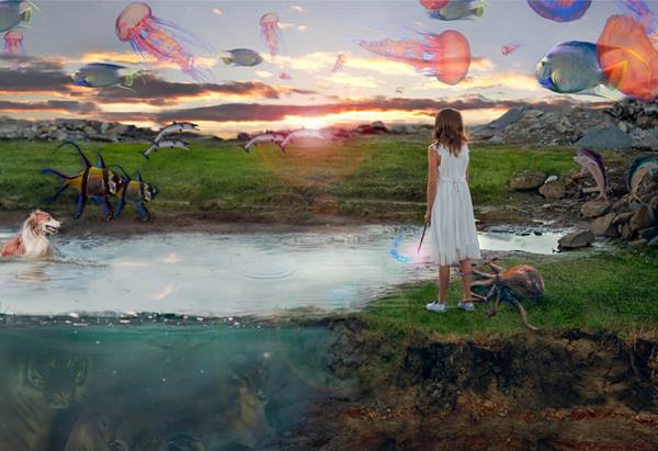 Creativity and imagination