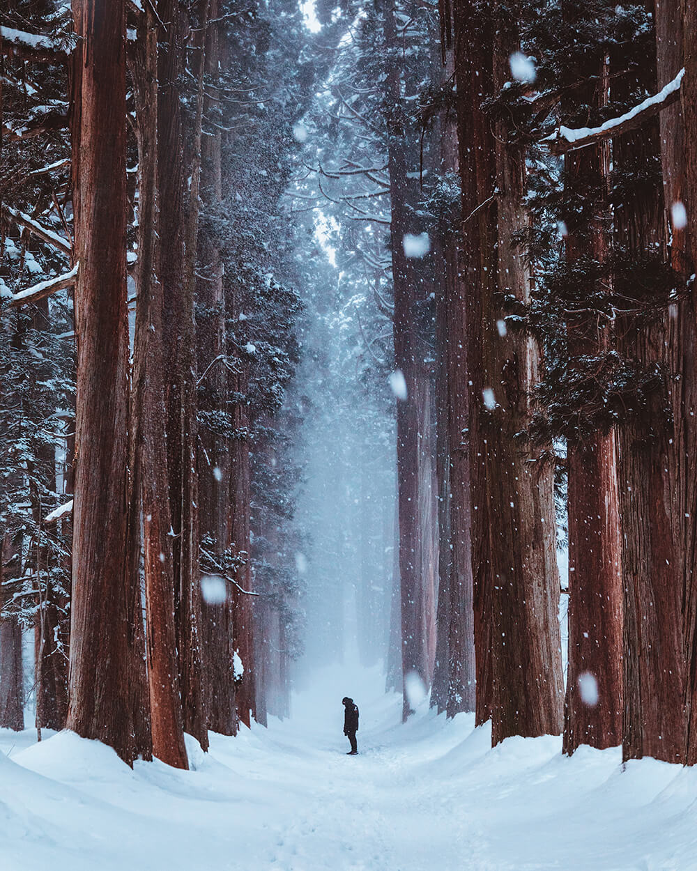 Photo of a snowy landscape in Japan