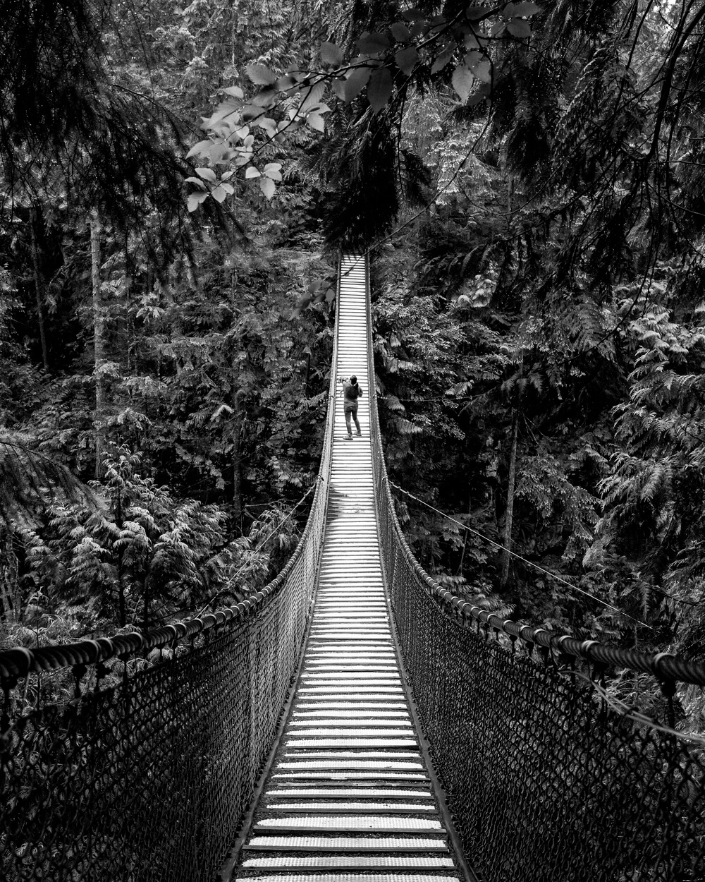 Image of a bridge in the Canadian Rockies