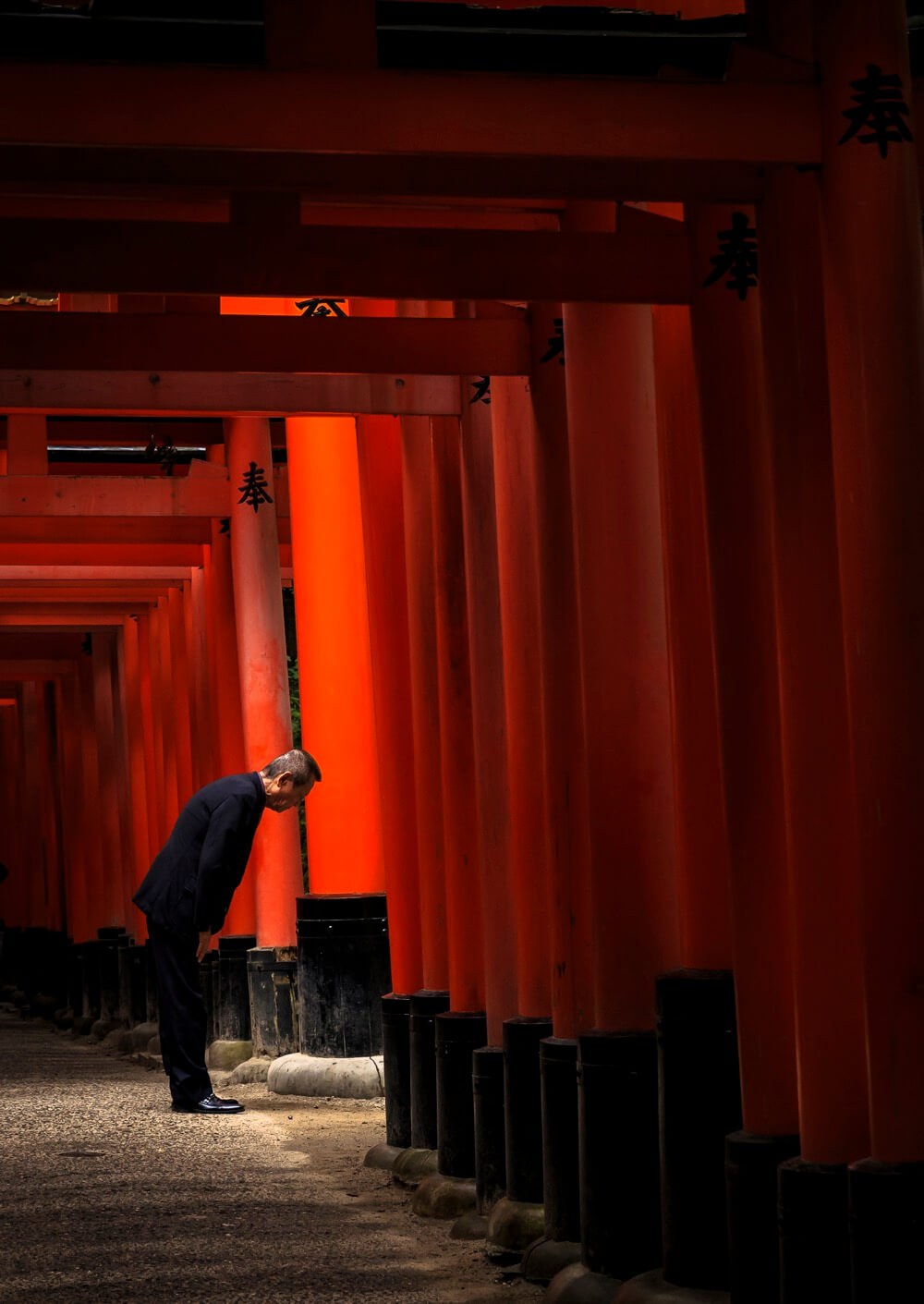 Man studying the ground