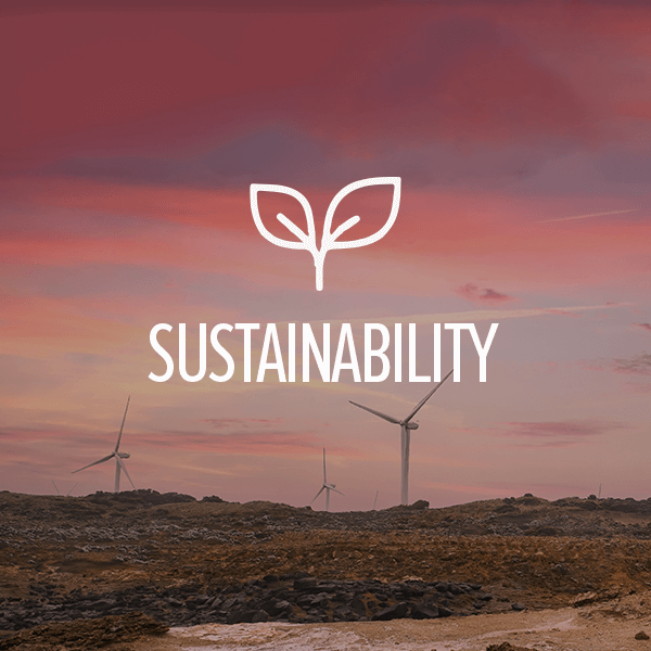 Striving for a sustainable future