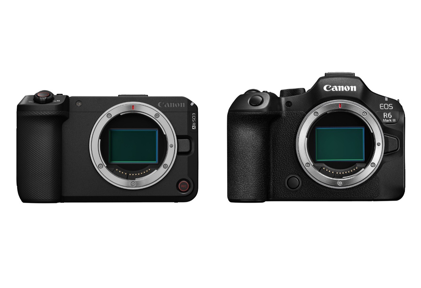 EOS R6V Comparison Article Tile Image