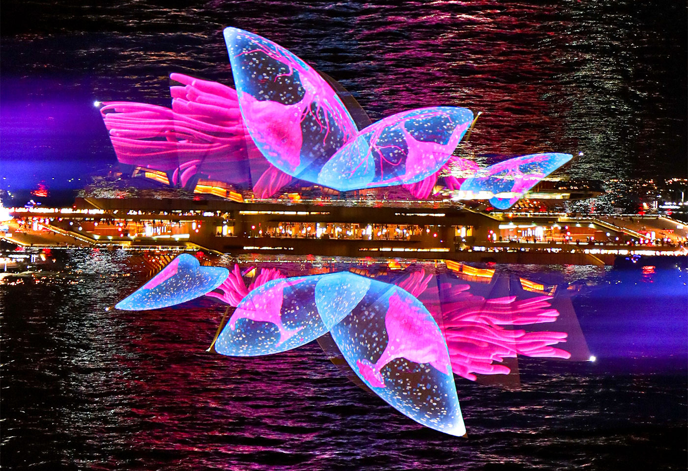 10 photography tips and best locations to capture Vivid Sydney by Elisa Eves