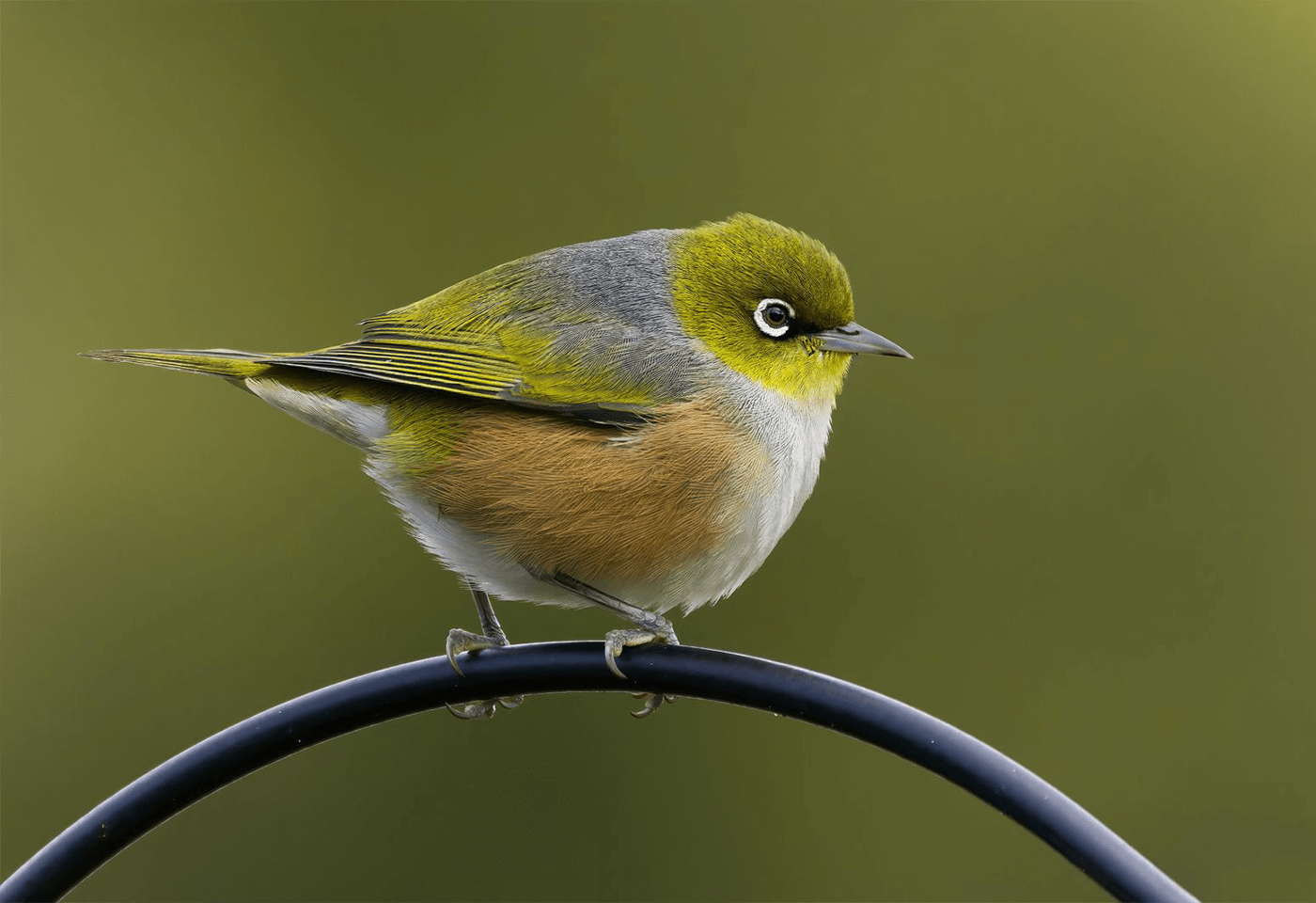 Bryce McQuilian article tile image