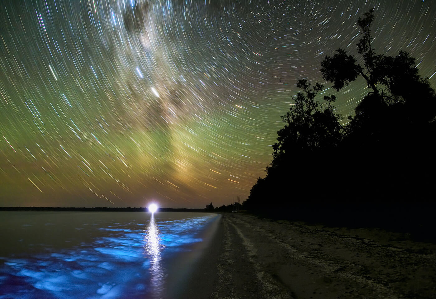 Bioluminescence at Gippsland Lakes