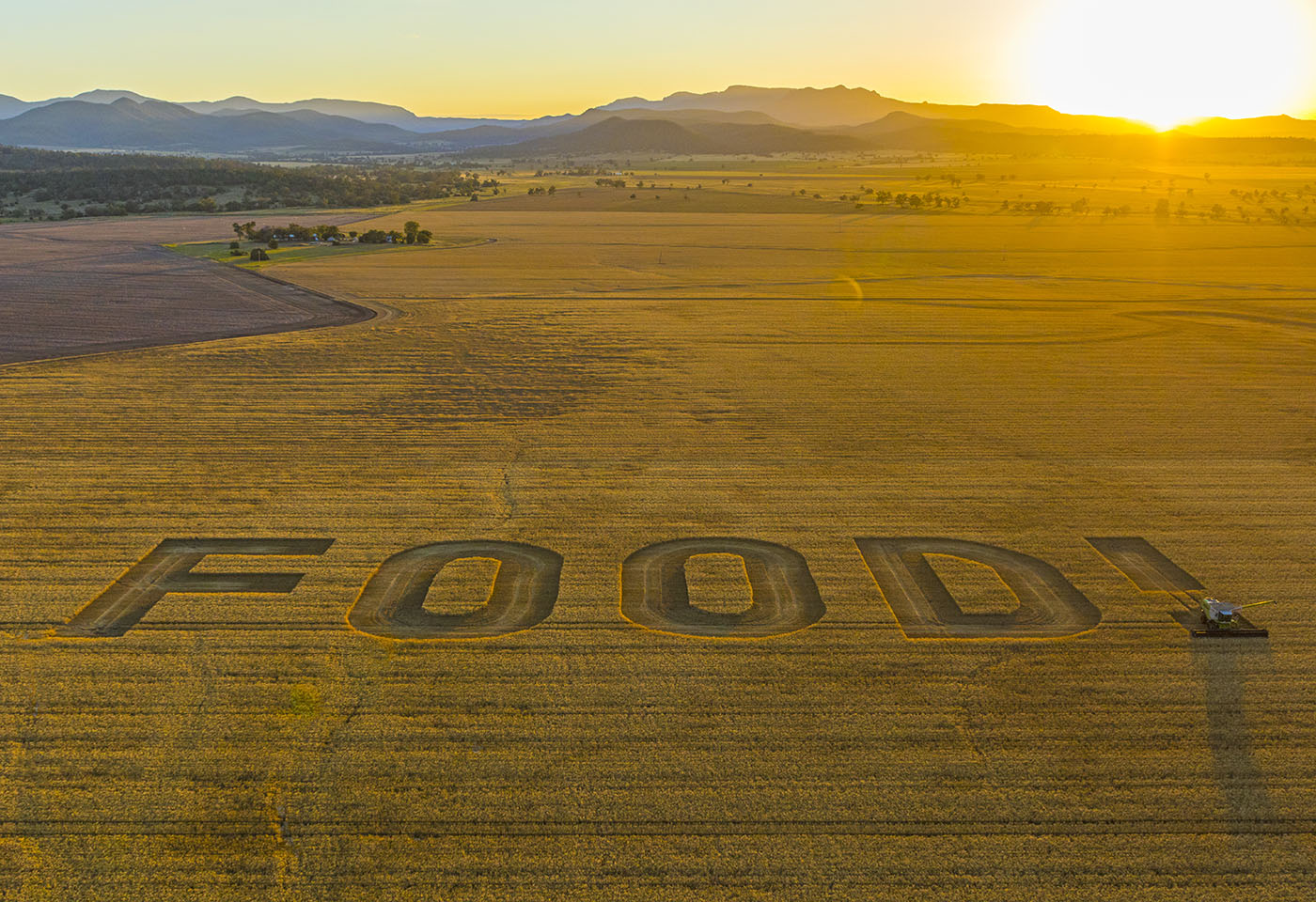 Landscape image of FOOD! written in a crop