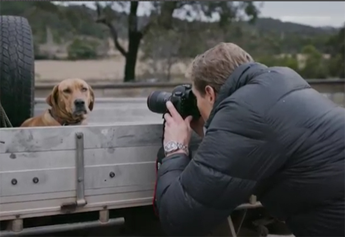 Image of Dr Chris Brown taking a photo of dog in ute