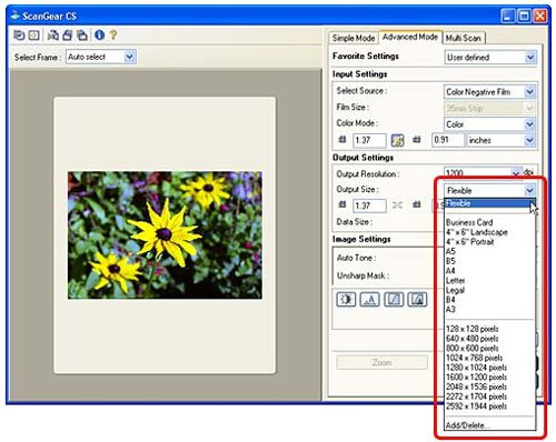 Scanning Films with ScanGear CS in Advanced Mode | Canon Australia